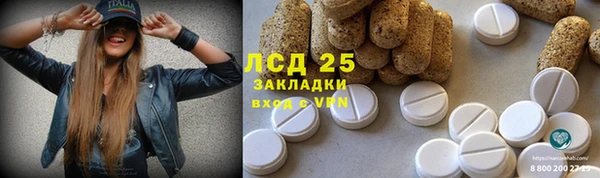 сатива Каменногорск