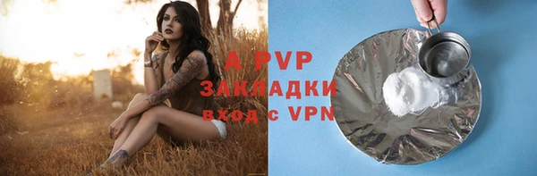 сатива Каменногорск