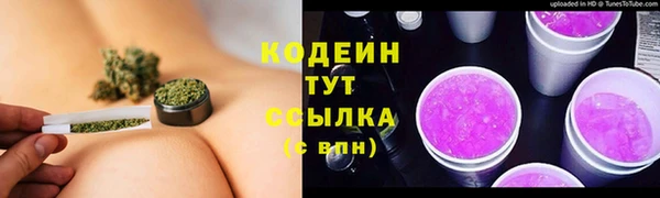 сатива Каменногорск