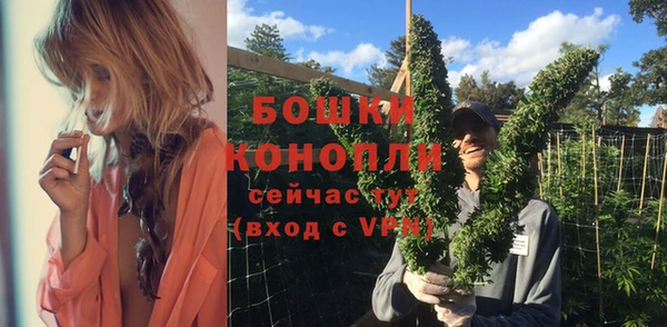сатива Каменногорск