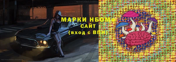 сатива Каменногорск