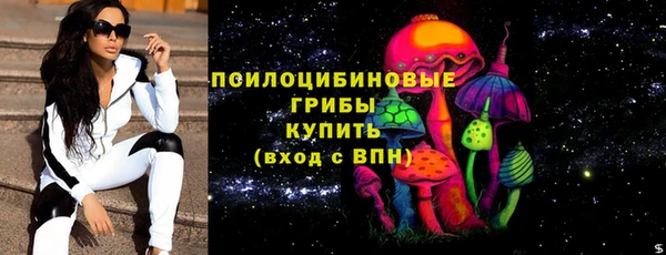 сатива Каменногорск