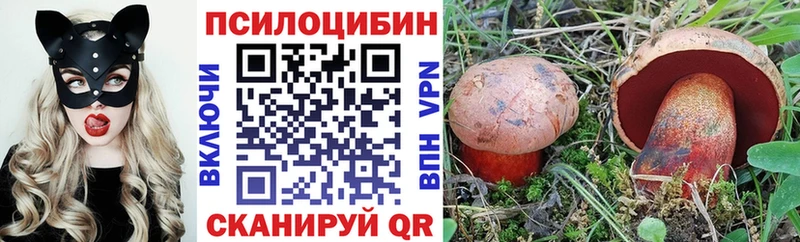 Псилоцибиновые грибы мицелий Купить Медвежьегорск